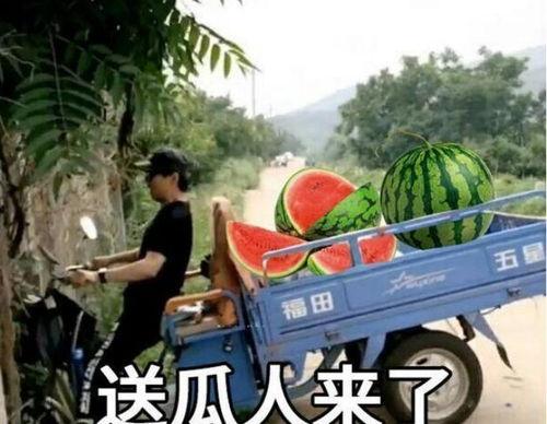 最近大瓜事件,揭秘明星隐私风波背后的真相  第1张